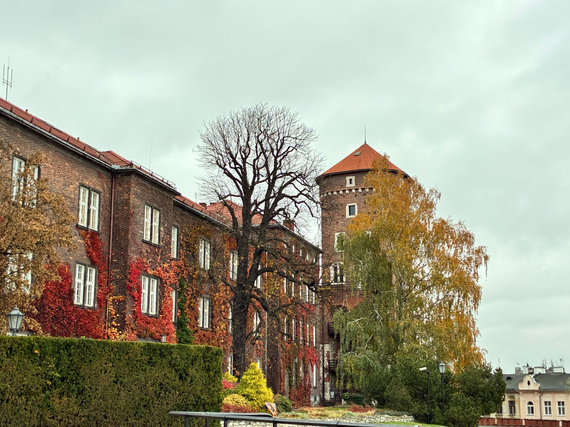 Historic brick castle buildings and a red-roofed tower framed by autumn ivy and yellow-leaved trees