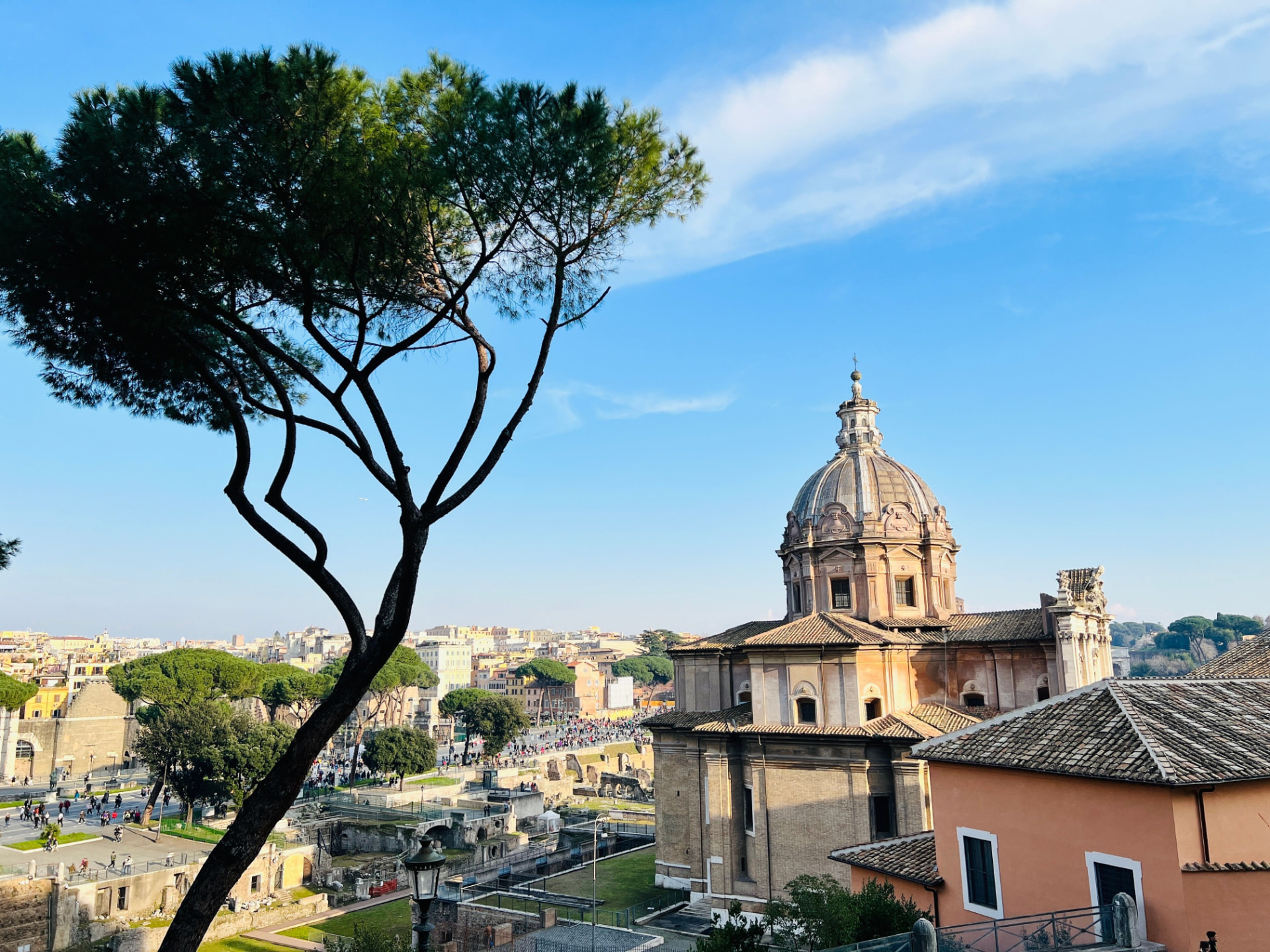 View over the Roman Forum from the Capitoline with a Roman pine and the dome of Santi Luca e Martina