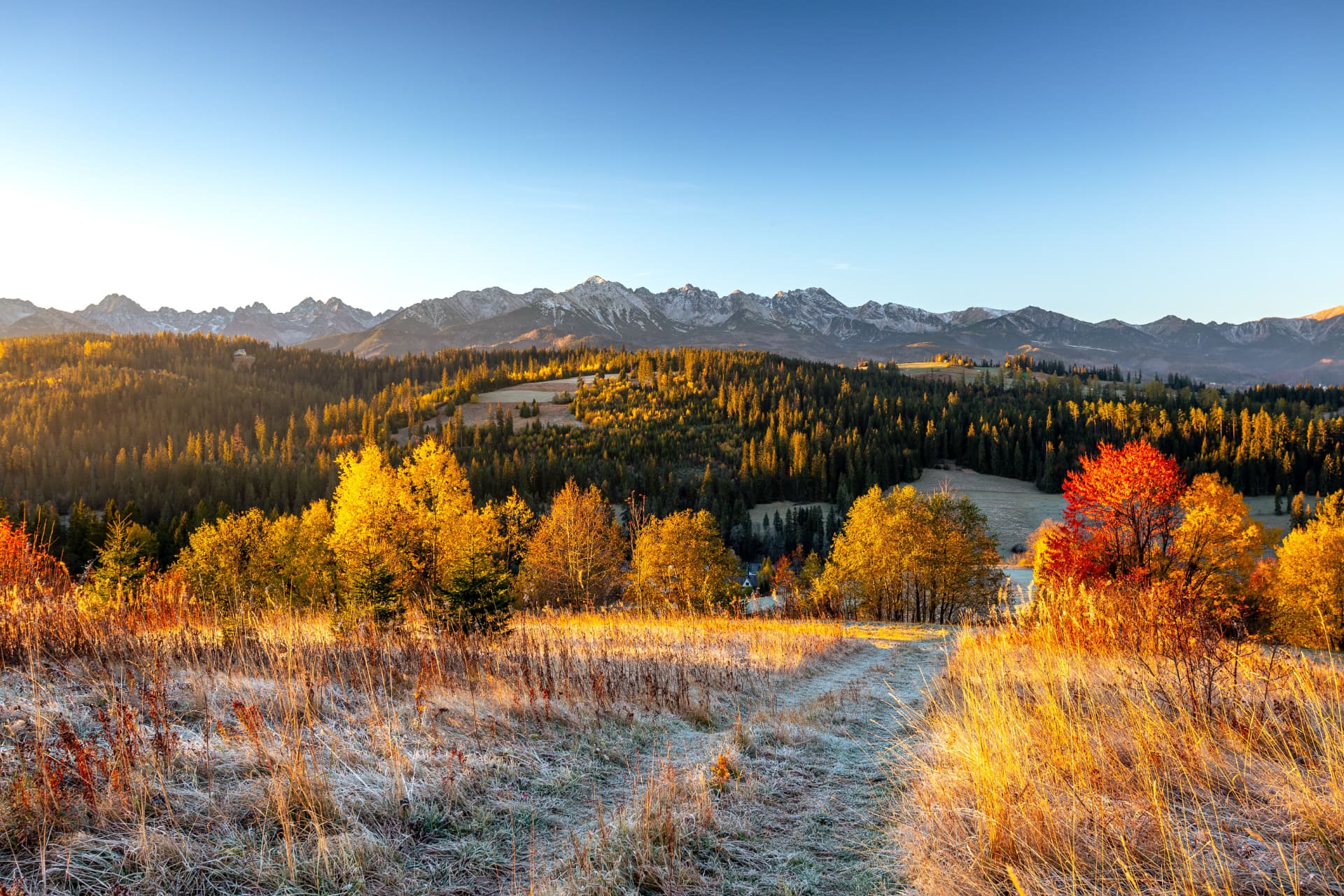 Golden and red autumn trees beside a frosty meadow below a rugged mountain skyline