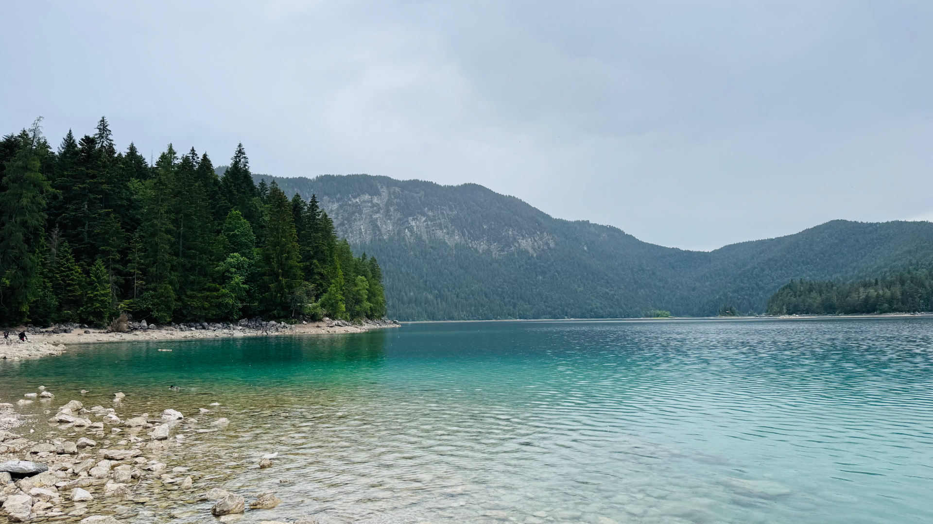 Turquoise water and pine-covered shore of Eibsee in the Bavarian Alps